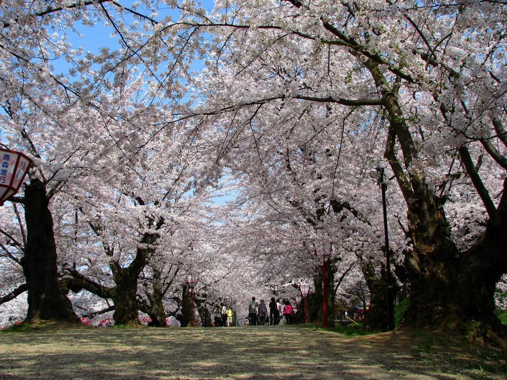Agri In Holiday Hirosaki Eksteriør bilde